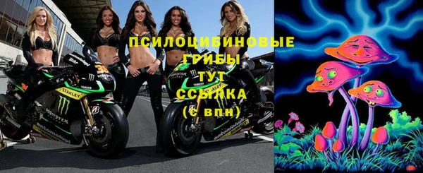 эйфоретик Алексеевка