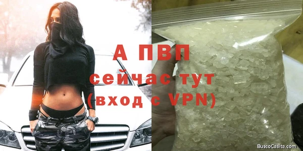 соль ск Алексин